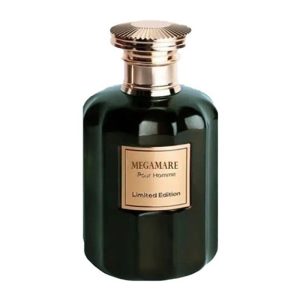 ادو پرفیوم مردانه روبرتو ویزاری مدل Megamare حجم 100 میل ادو پرفیوم مردانه روبرتو ویزاری مدل Megamare حجم 100 میل